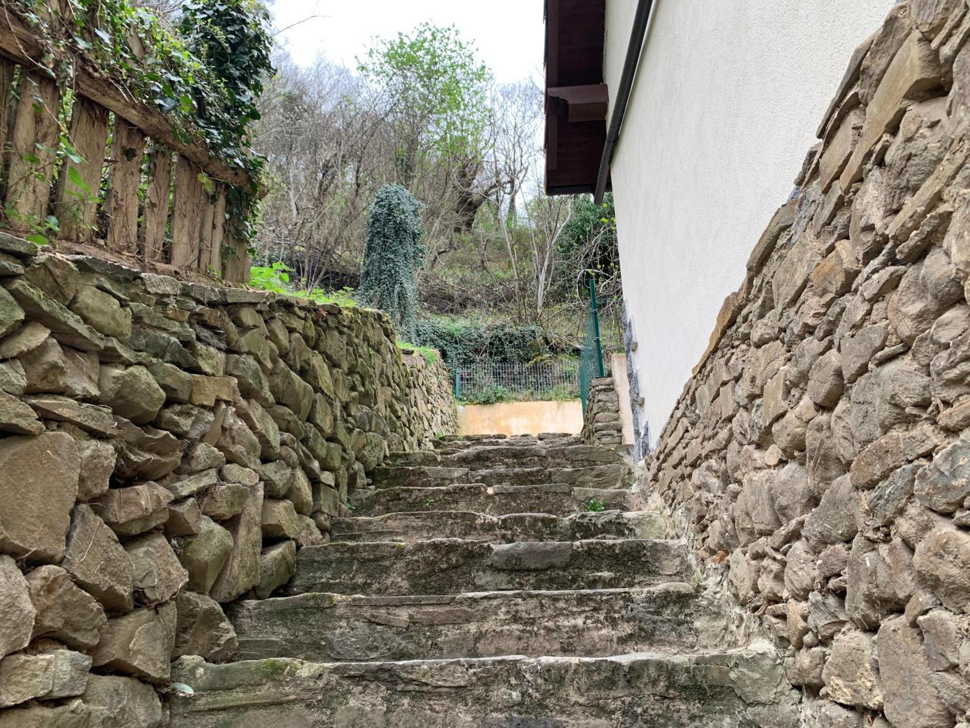 Casa Rural En Santa Cruz-Mieres Bustiello  Bagian luar foto